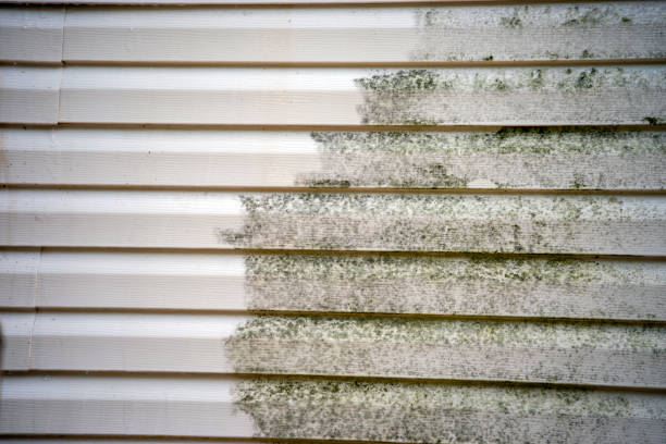 Best Hoarding Cleanup  in Tappan, NY