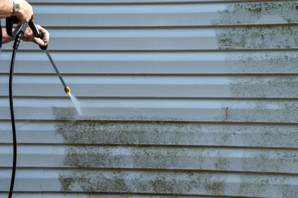 Best Hoarding Cleanup  in Tappan, NY